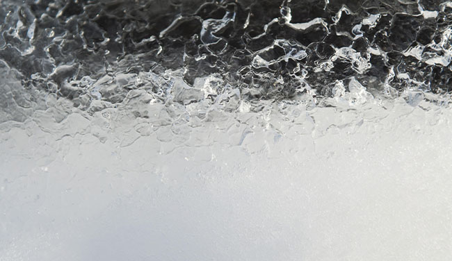 LA RÉFÉRENCE EN ACTIFS DERMO-COSMÉTIQUES